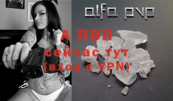 шишки Абаза