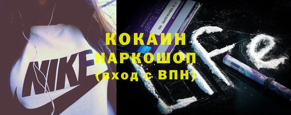 шишки Абаза