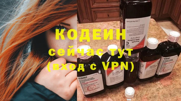 шишки Абаза