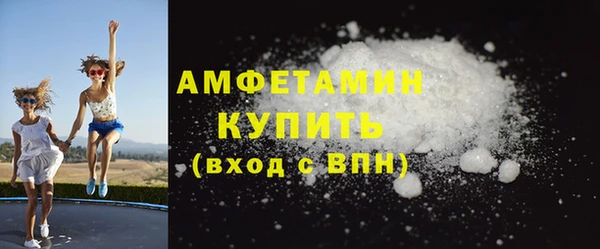 шишки Абаза