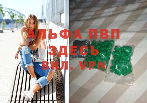шишки Абаза