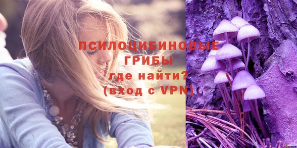 шишки Абаза
