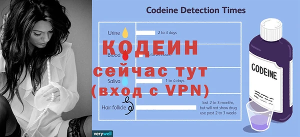 шишки Абаза