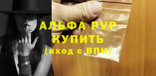 шишки Абаза