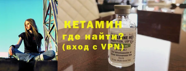 шишки Абаза