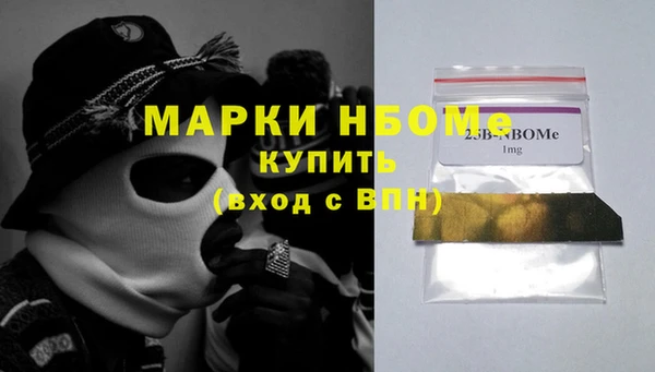 шишки Абаза