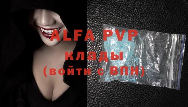 шишки Абаза