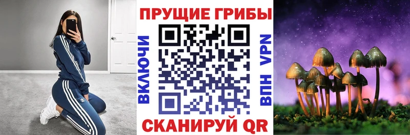 купить наркоту  KRAKEN как войти  Галлюциногенные грибы Magic Shrooms  Димитровград 